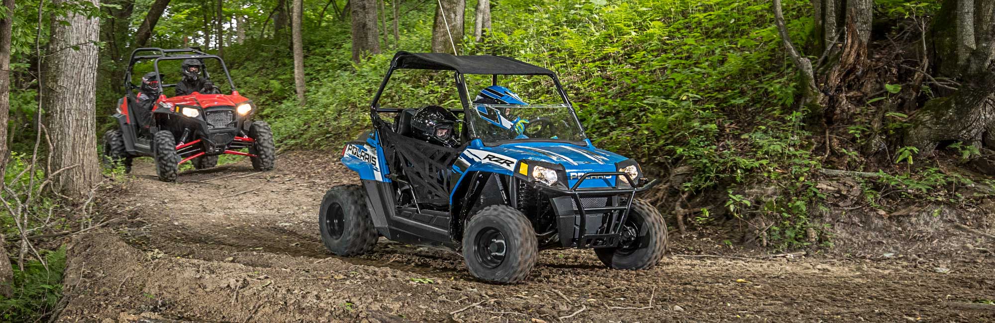 Polaris BritainRzr® 170 EFI